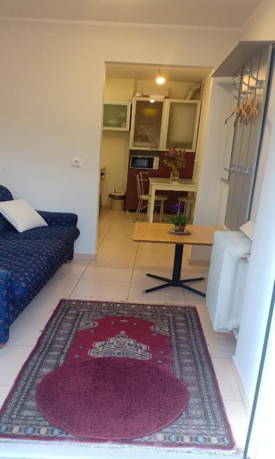 Kaunas Downtown Apartments 외부 사진